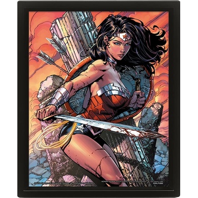 Wonder Woman : Battle - 3D Obraz s rámem 3D Obraz (s rámem)