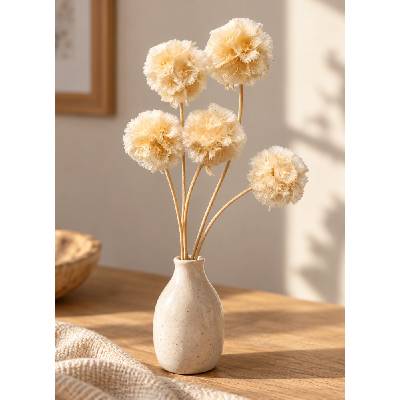 Sušená Scabiosa bělená/smetanová 5ks