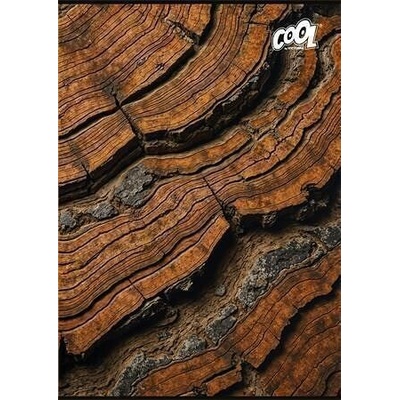 COOL BY VICTORIA Sešit Wood Rock mix motivů A4 čtverečkovaný