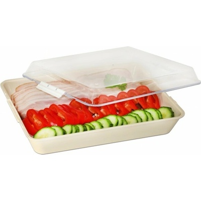 PETRA PLAST Podnos s poklopom DUO LOCK veľký 20,5x8x26,5cm umelá hmota