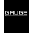 Gauge