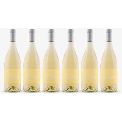 Vinařství Nikolsburg Frizzante cuvée Chardonnay+Sauvignon suché bílé 2025 12,0 % 6 x 0,75 l (holá lahev)