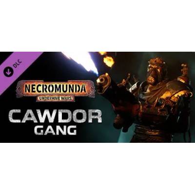 Focus Entertainment Necromunda Underhive Wars Cawdor Gang DLC (PC)