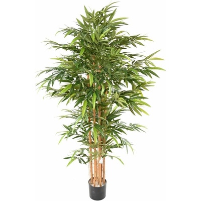 BAMBUS ECO BUSH, 185cm