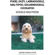 Pudel Du?y, Labradoodle, Maltipoo, Goldendoodle, Cockapoo Doodle Ras Psów