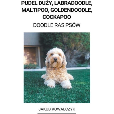 Pudel Du?y, Labradoodle, Maltipoo, Goldendoodle, Cockapoo Doodle Ras Psów