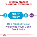 Royal Canin Giant Puppy 1 kg