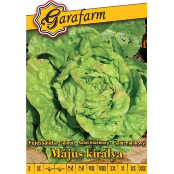 Šalát hlávkový Kráľ mája 2g