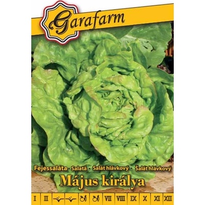 Šalát hlávkový Kráľ mája 2g