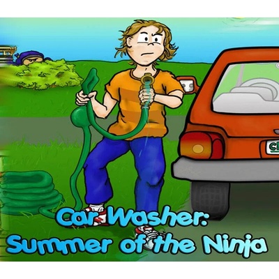 Car Washer: Summer of the Ninja