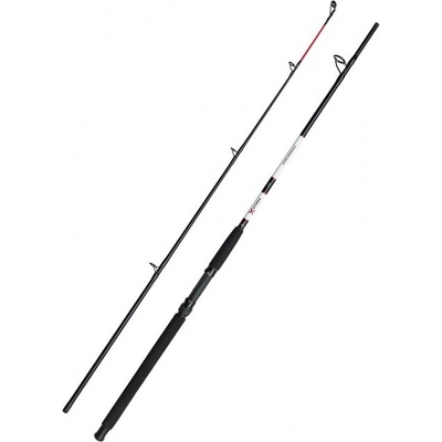 DAM Aqua-X Boat 2,1 m 100-250 g 2 diely