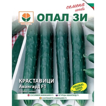 Image 1 of Opal Zi Краставици Авангард f1 тип Гергана