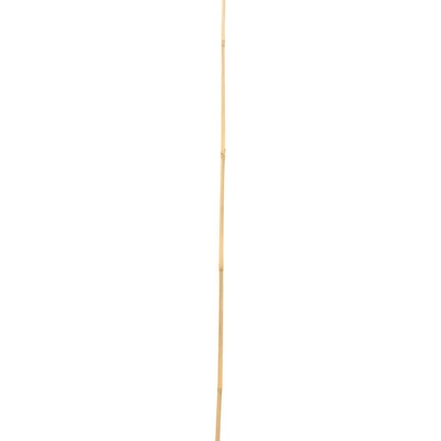 Opora rastlín 3 kusy 37 x 90 cm zelená | jaks