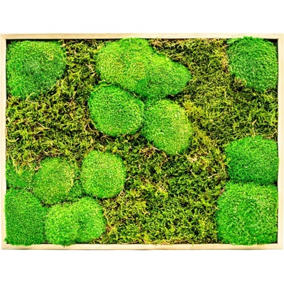 Gardners Mechový obraz 30x40 cm kombinovaný mech kopečkový s plochým, přírodní