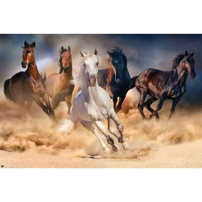 Plagát, Obraz - Kone - Five horses, 91.5 × 61 cm