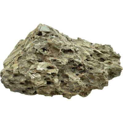 Invital Dragon Stone 6290 g Z05806