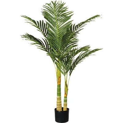 Umelá palma areka Dypsis lutescens 2 kmene 120 cm v čiernom plastovom kvetináči so zeminou 15 x 13 cm