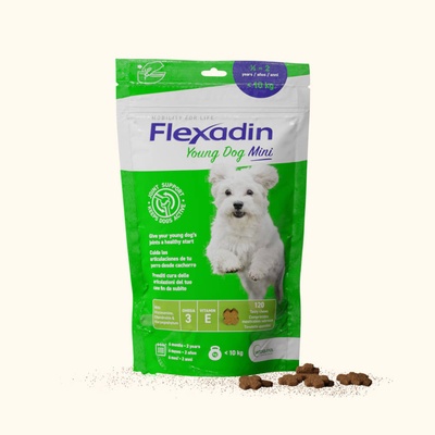 Flexadin Young Dog Mini 60 tabletv