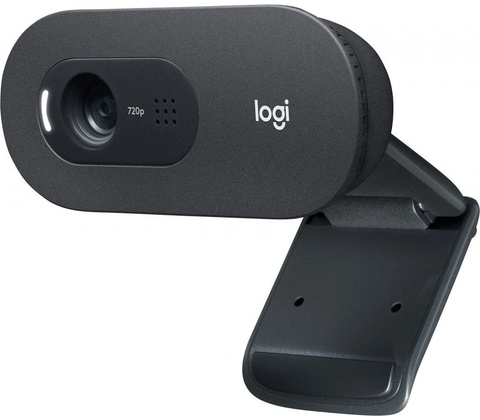 Logitech C505 HD Webcam