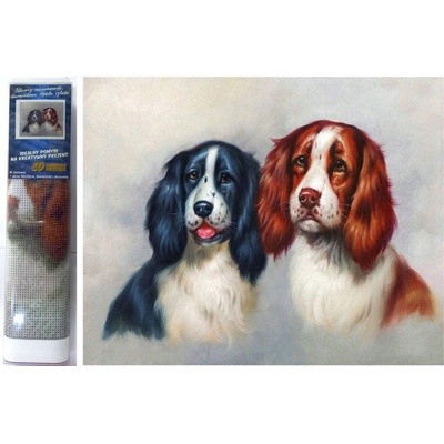 Norimpex Diamantové malování Chlupatá dvojka 30 x 40 cm – Zbozi.Blesk.cz
