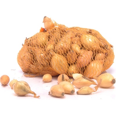 Cibuľa sadzačka ´Štutgartská´ 8/21 0,5kg