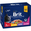 Brit cat Premium Pouches MASOVÝ & RYBÍ MIX kuře hovězí treska pstruh 1,2 kg