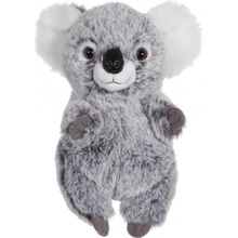 koala mládě 15 cm