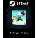 A Pixel Story