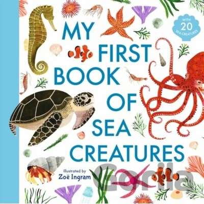 My First Book Of Sea Creatures - Zoë Ingram