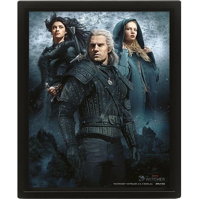 Zaklínač : The Witcher 2 - 3D Obraz s rámem 3D Obraz (s rámem)