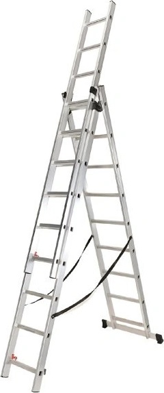 Max DLE309