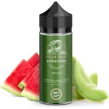 Steam Train - Dispatcher 24/120ml