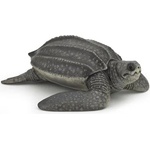 Papo - Фигурка за колекциониране и игра - Морска костенурка (56022)