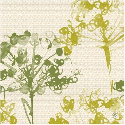 Paper Design Ubrousky DUNISOFT BIO Green Umbles 5ks 40x40 cm