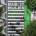 Walkable City Rules | Jeff Speck