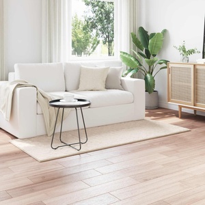 vidaXL Килим за вътрешно помещение SIROLO Бежово 80 x 150 cm Полиестер (42022739)