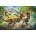 Trefl - Puzzle Fight with tyrannosaurs - 160 piese