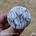 Tulipány - button neboli placka