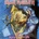 Iron Maiden - No Prayer For The Dying (LP) (190295852351)