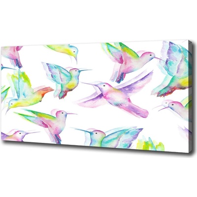Foto obraz na plátne Kolibrík 100x50 cm