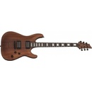 Schecter Hellraiser C-1