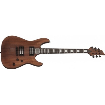 Schecter Hellraiser C-1