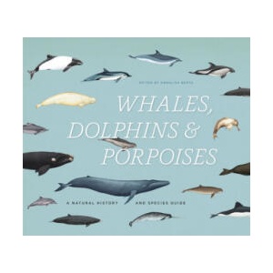Whales, Dolphins, & Porpoises | Annalisa Berta (ISBN: 9780226183190)