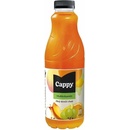 Cappy multivitamin 50% 1l