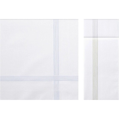 Bavlněné pánské kapesníky KRONOS, 6 ks V dárkovém boxu 6 ks Bílá 43x43 cm – Zboží Dáma