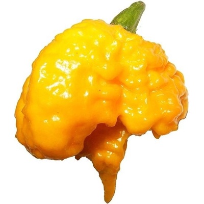 CHILLIMAT Chilli semena Carolina Reaper Yellow 10 ks