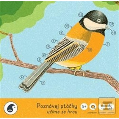 Jitka Musilová: Poznávej ptáčky - učíme se hrou