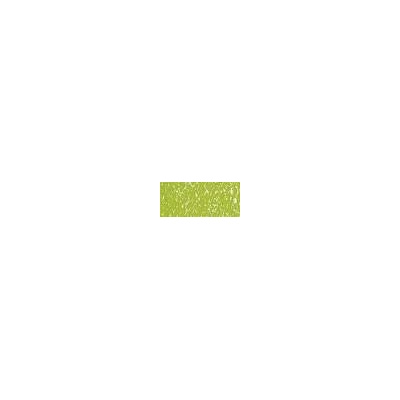 Sennelier suchý pastel 203 leaf green