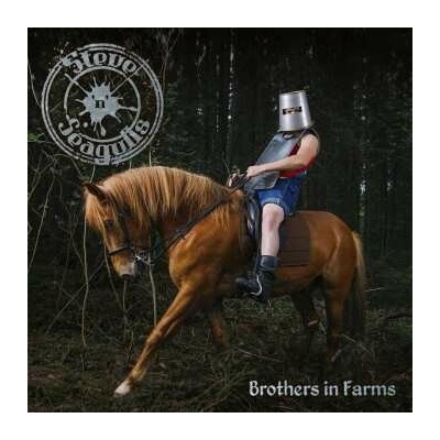 STEVE N SEAGULLS: BROTHERS IN FARMS CD