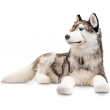 Husky 100 cm